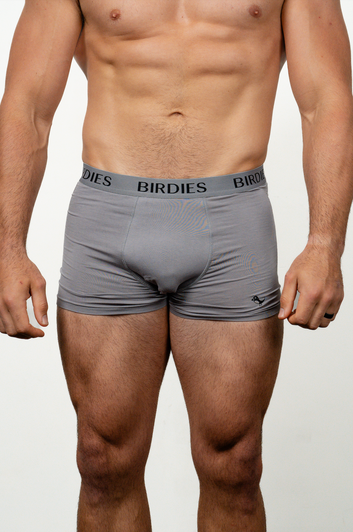 5 pack Birdies Bamboo GREY boxers